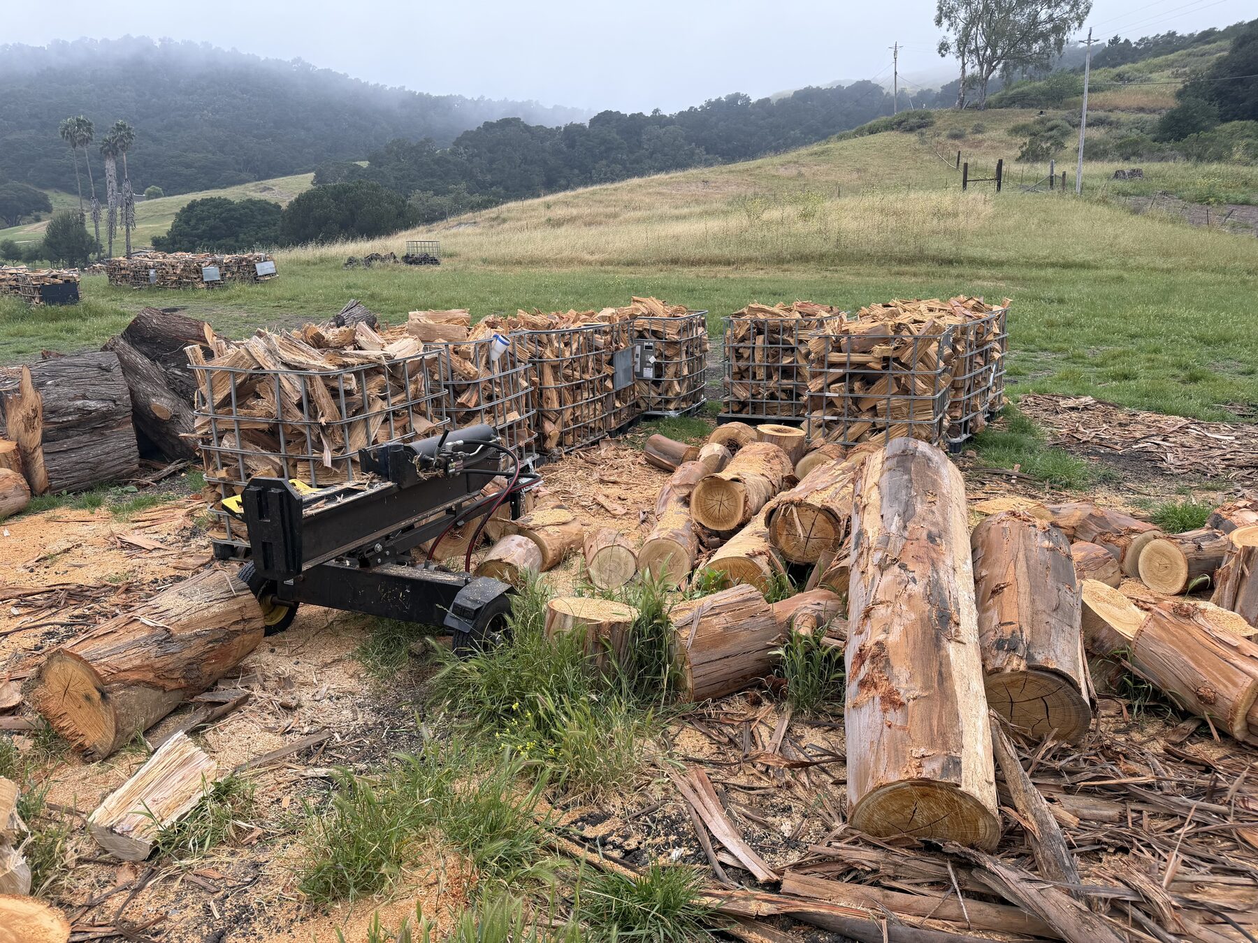 Logs, a splitter, and baskets of freshly split wood at the 805 Red Oak yard on Ontario Road